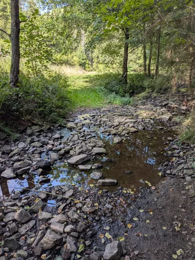 Kamenité koryto potoka s mělkými tůňkami mezi balvany
