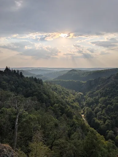 Pohled z Velké skály na hluboce zaříznuté údolí Oslavy v letním oparu.
