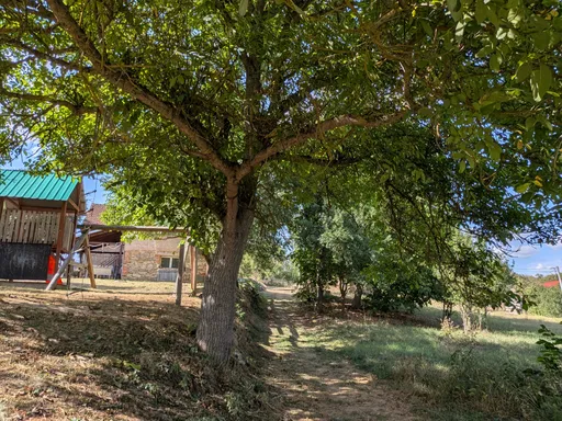 Ořešák nad cestou ve vsi, za ním stavení a dětské hřiště