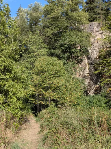 Skalní stěna nad zarostlým údolím potoka