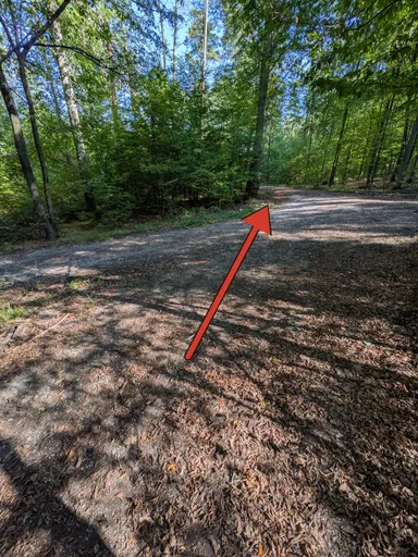 Křižovatka lesních cest v bukovém lese, červená šipka ukazuje rovně po cestě směrem k přehradě