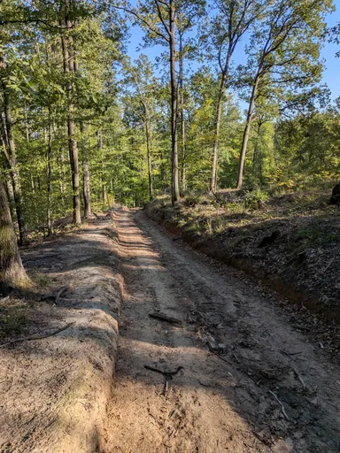 Písčitá cesta klesající lesem