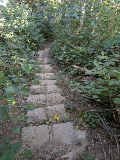 Kamenné schody v lese nad studánkou