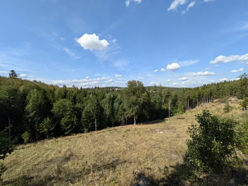 Paseka s travnatým svahem a výhledem na zalesněné stráně