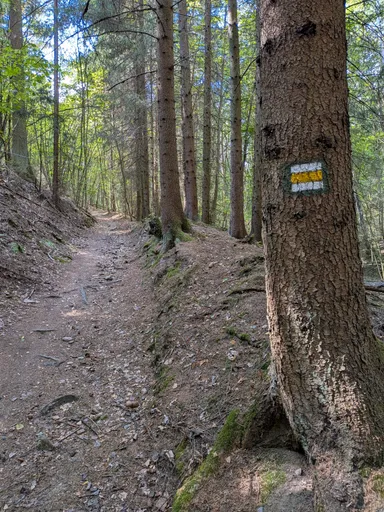Žlutá turistická značka na kmeni u kamenité pěšiny