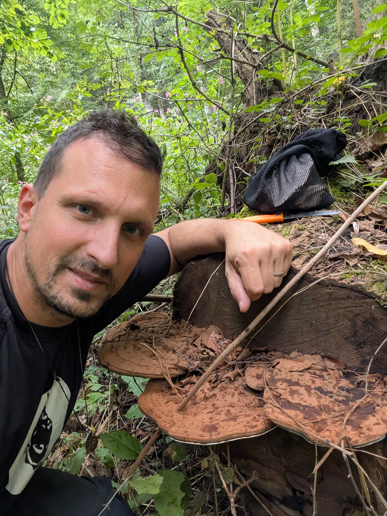 Dr. Houbička · ruční sběr · český les