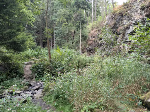 Údolí sevřené skalními stěnami, cesta vede po dně