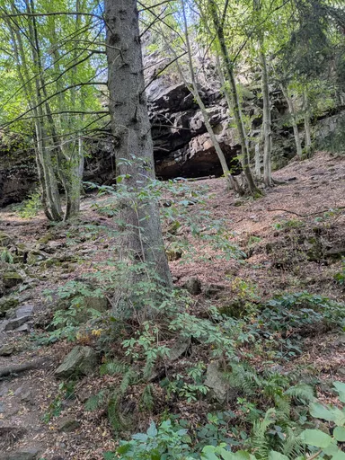 Skalní převis nad svahem se stromy, pohled z pěšiny