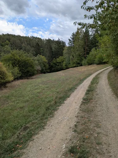 Travnatá cesta loukou k lesu před Kutinami