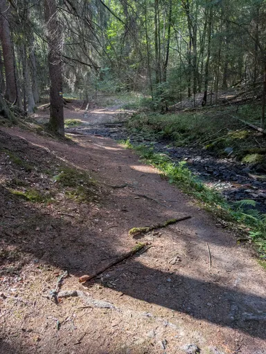 Lesní pěšina vedle mělkého potoka s kamenitým dnem