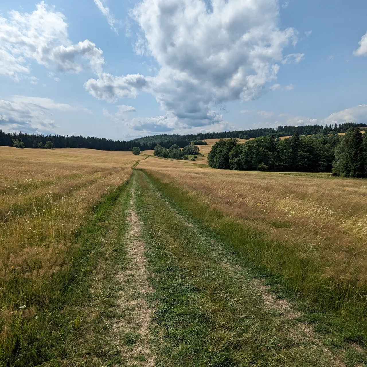Cesta loukou · Rychleby, Zálesí