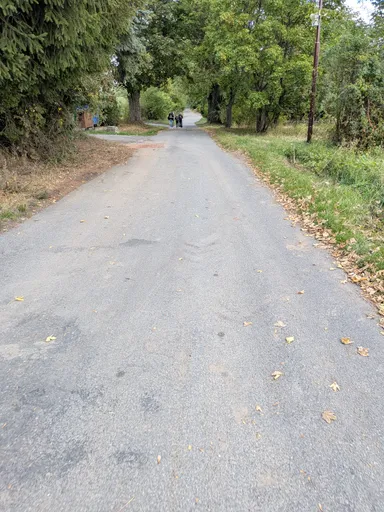 Štěrková cesta klesá alejí starých stromů, v dálce jdou dva lidé.