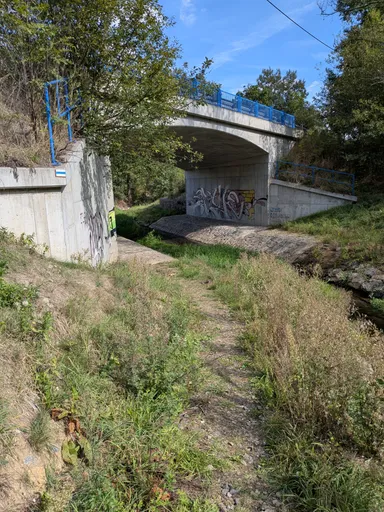 Pěšina vede pod betonovým silničním mostem s modrým zábradlím, na opěře je turistická značka.