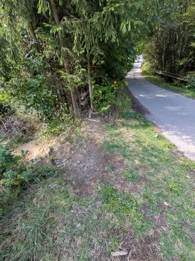 Pěšina vystupuje k asfaltové cestě u mostu, kolem hustá zeleň.