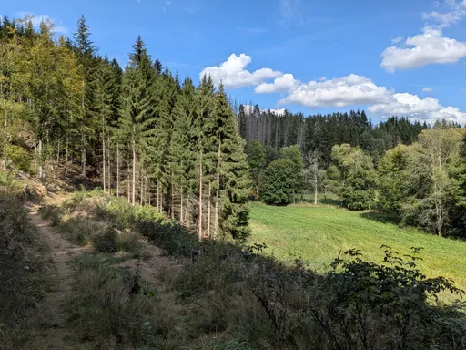 Pěšina po hraně lesa, dole zelená louka a smrkový porost.