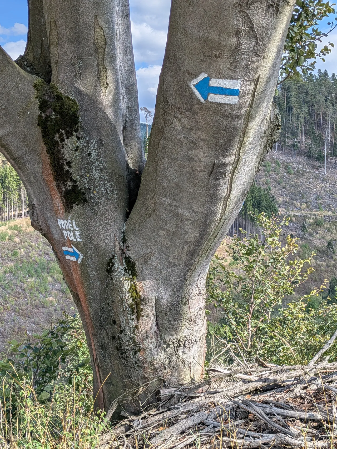 Odbočka 5 · PODÉL POLE