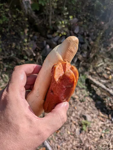 Ruka drží rozkrojenou housku s opečeným špekáčkem.