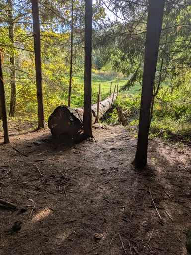 Pohled od lesní cesty na lávku z kmene přes potok, kolem kmeny a zelená louka.