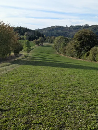 Zelené pole klesá do údolí, na protějším hřebeni je mezi stromy silueta rozhledny.