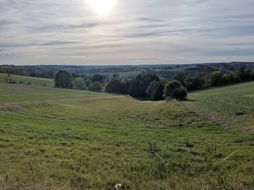Rozlehlá louka s remízky v protisvětle, na obzoru lesy.
