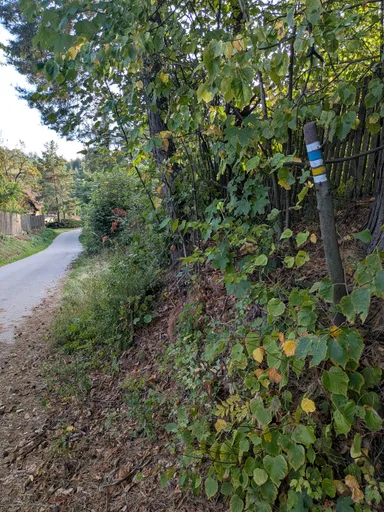 Asfaltová silnička podél zarostlého svahu, na stromě modrožlutá značka.