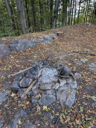 Kamenné ohniště s popelem a ohořelými dřevy na lesní půdě pokryté listím.
