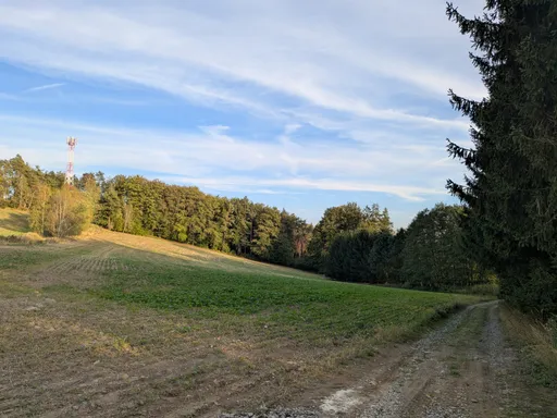 Travnatá pole na hřebeni, na obzoru vysílač a okraj lesa.