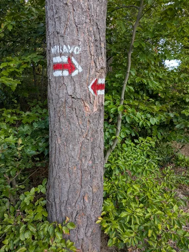 Kmen borovice se dvěma červenými turistickými šipkami a nápisem směru.