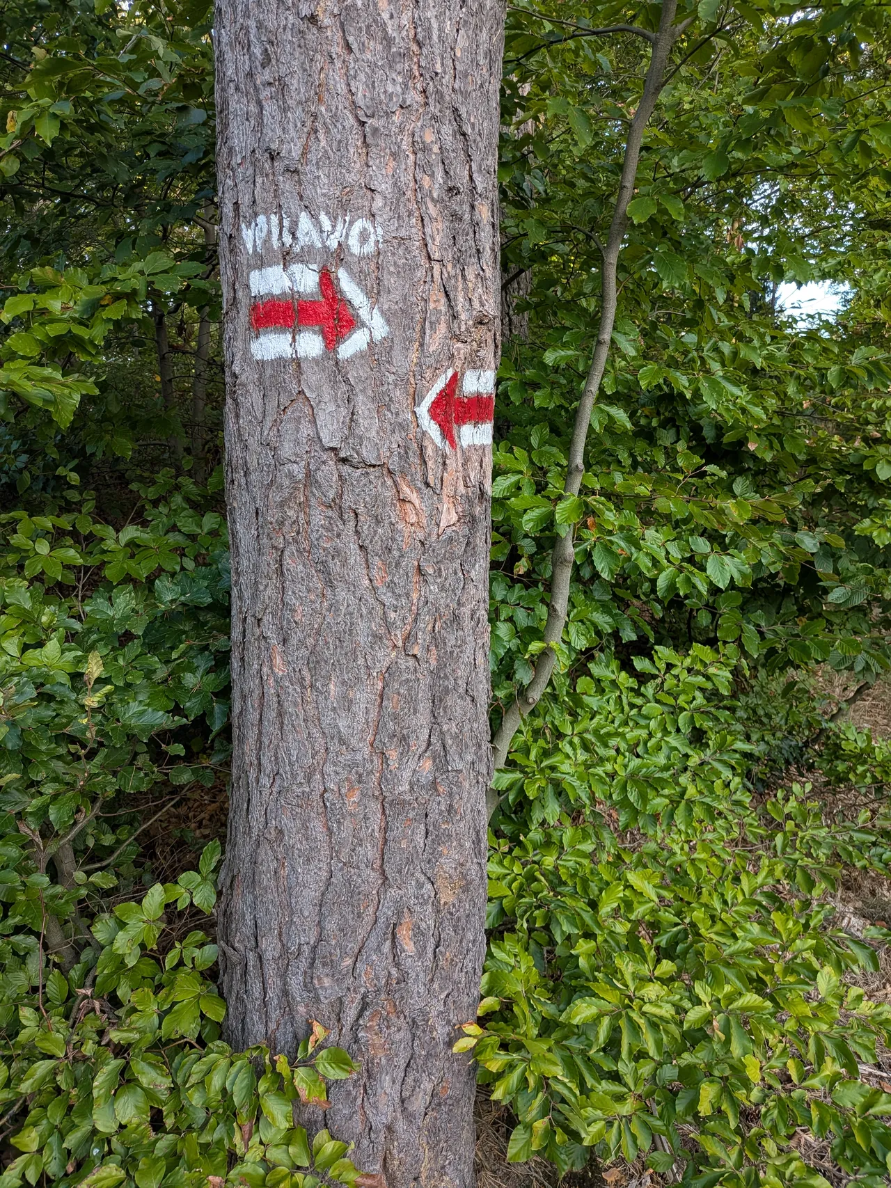 Červená na Vír a zpět