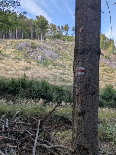 Turistická značka na kmeni, za ním strmý svah se skalním výchozem a klestím.