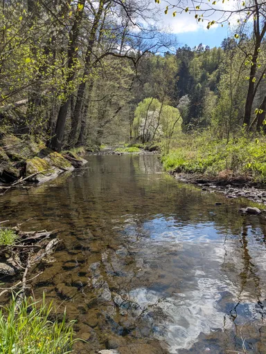 Meandr Libochovky s odrazem stromů a kamenitým dnem