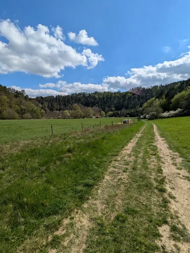 Polní cesta loukou podél lesa pod modrou oblohou