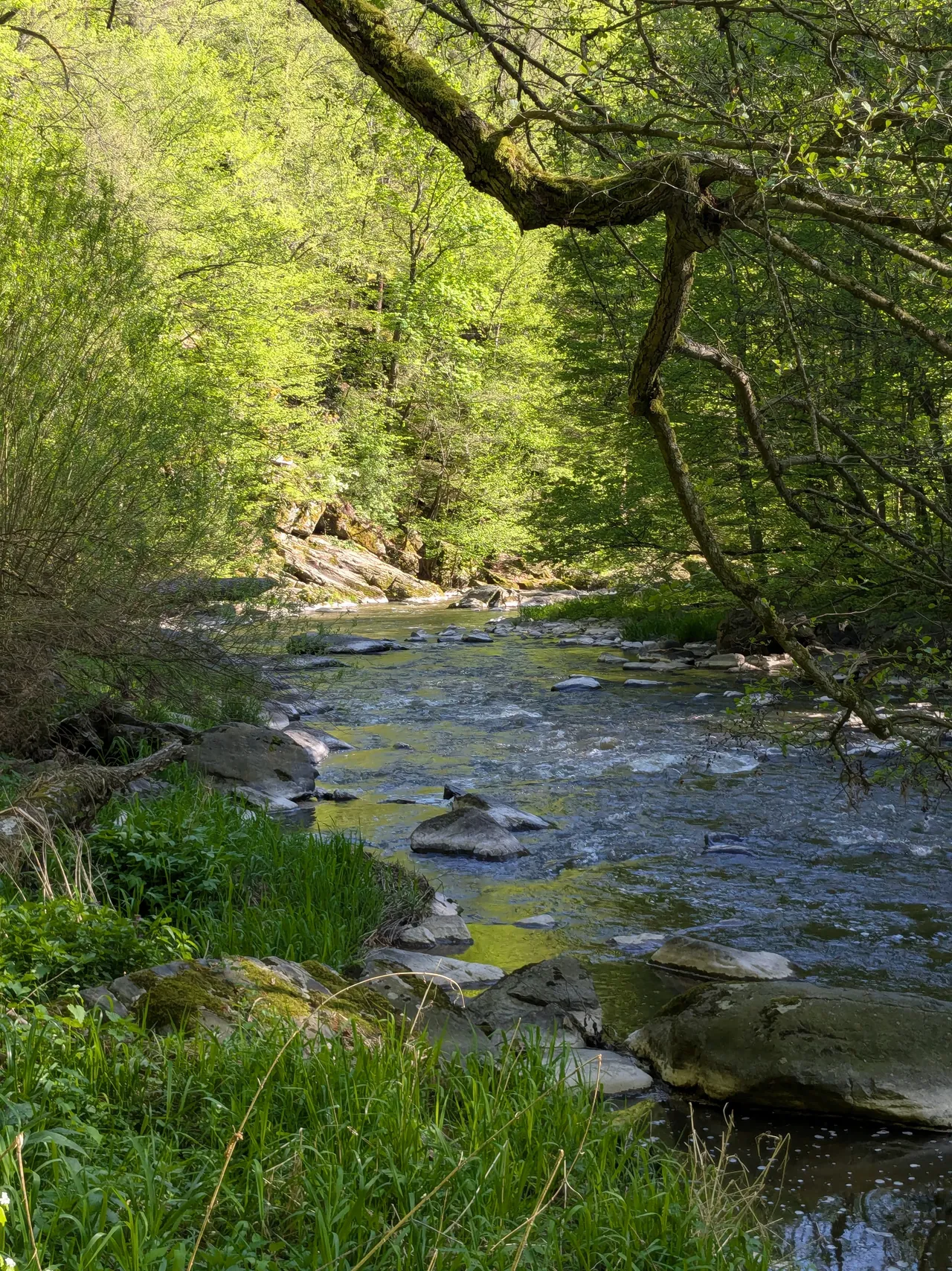 Údolí · v dubnu