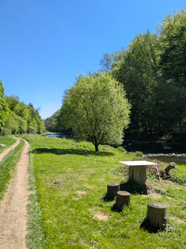 Polní cesta podél řeky Oslavy se stolem a špalky na sezení pod stromem.