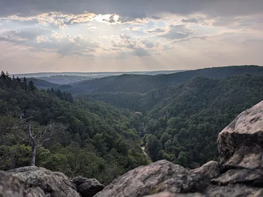 Výhled z Velké skály na zalesněné údolí Oslavy pod zataženou letní oblohou.