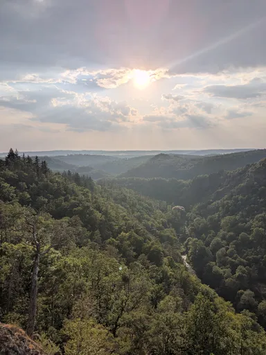 Slunce nad údolím Oslavy, výhled z Velké skály na zalesněné svahy v létě.