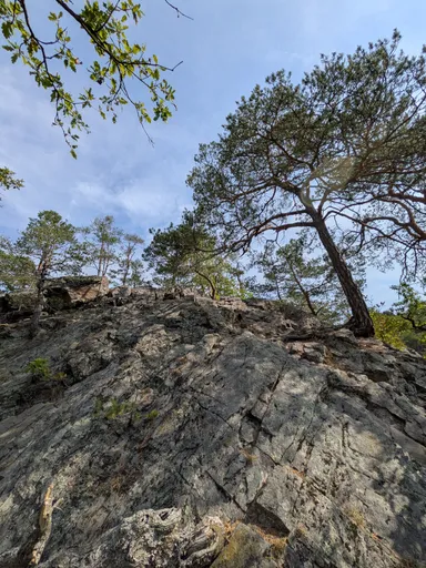 Skalnatý vrchol s pokroucenou borovicí pod modrou letní oblohou.