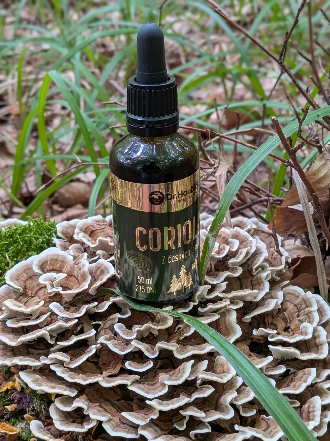 Coriolus 50 ml · na trsu outkovky
