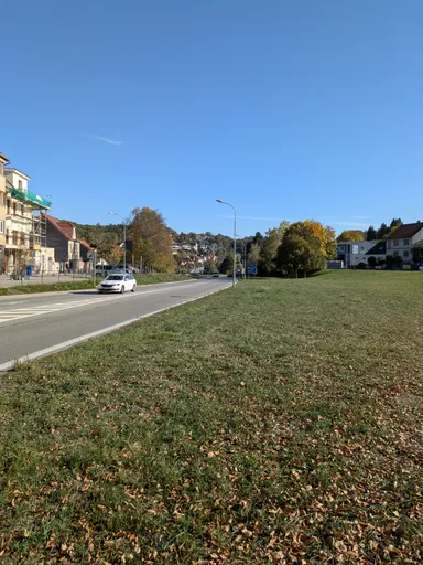 Silnice a travnatý pás na okraji Náměšti nad Oslavou s rodinnými domy v pozadí.