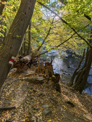 Úzká pěšina s červenou značkou nad řekou, kolem vyvrácený pařez a podzimní stromy.
