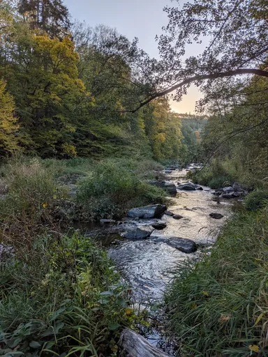 Pohled na klikatící se řeku Oslavu mezi zelenými a podzimně zbarvenými stromy.