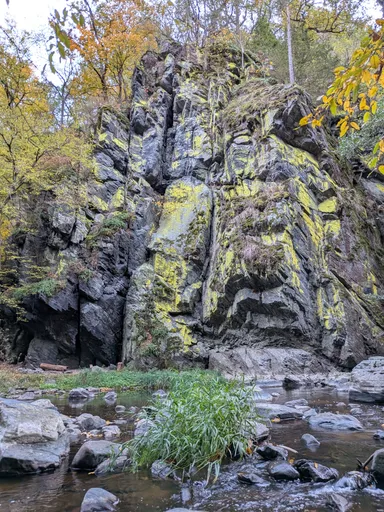 Skála porostlá žlutozeleným lišejníkem nad kamenitým korytem řeky Oslavy.