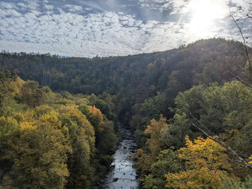 Svítání nad kaňonem Oslavy, řeka se vine mezi podzimně zbarvenými lesy.