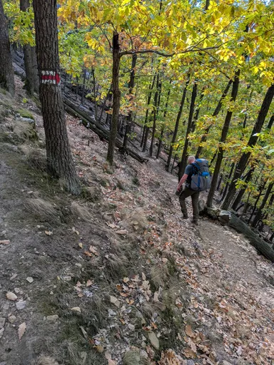 Trempa s velkým batohem jde po strmé lesní pěšině s červenou značkou.