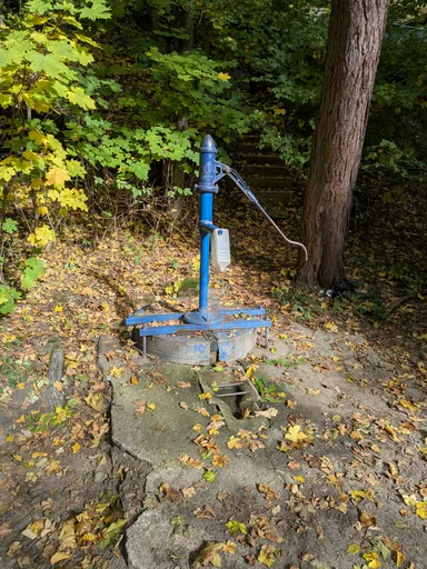 Modrá ruční pumpa na vodu na betonové skruži u stromu v lese.