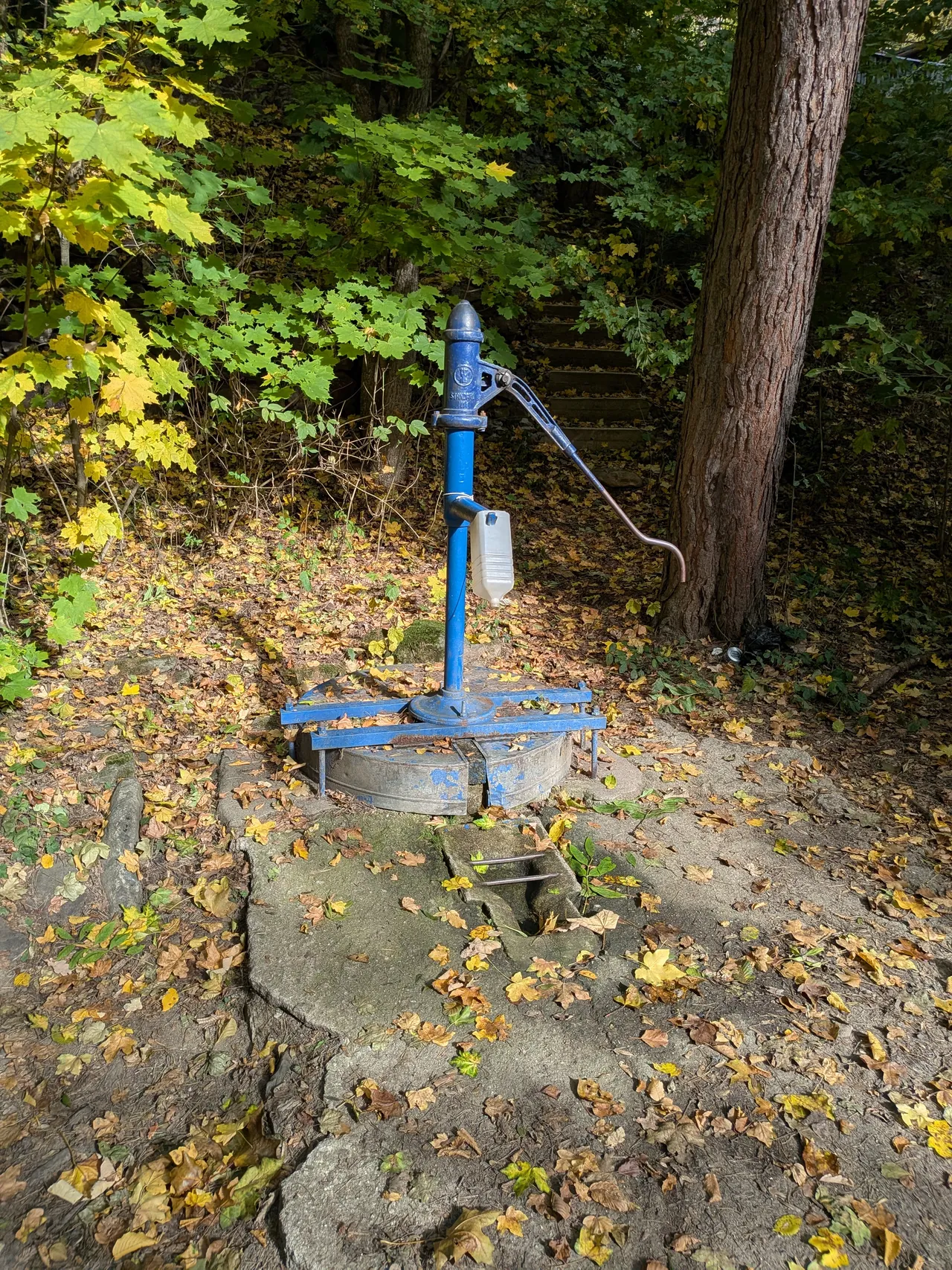 Pumpa