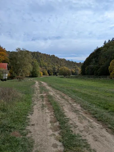 Polní cesta vede loukou podél řeky k zalesněným svahům údolí Oslavy.