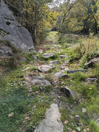 Kamenitá pěšina v trávě pod skalní stěnou podél údolí Oslavy.