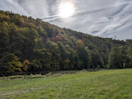 Zelená louka u řeky Oslavy pod zalesněným svahem v podzimních barvách.