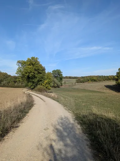 Polní cesta se stáčí kolem remízku mezi loukami